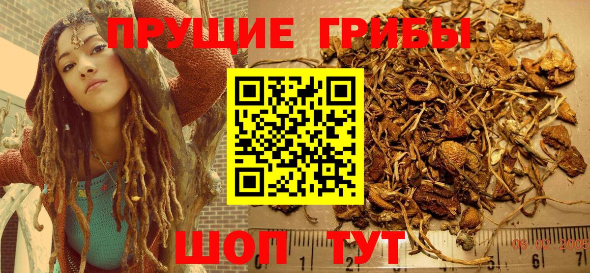 Галлюциногенные грибы Psilocybe  Вход с VPN  Бийск 